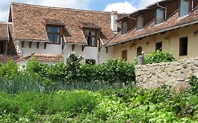 Convivium Transilvania